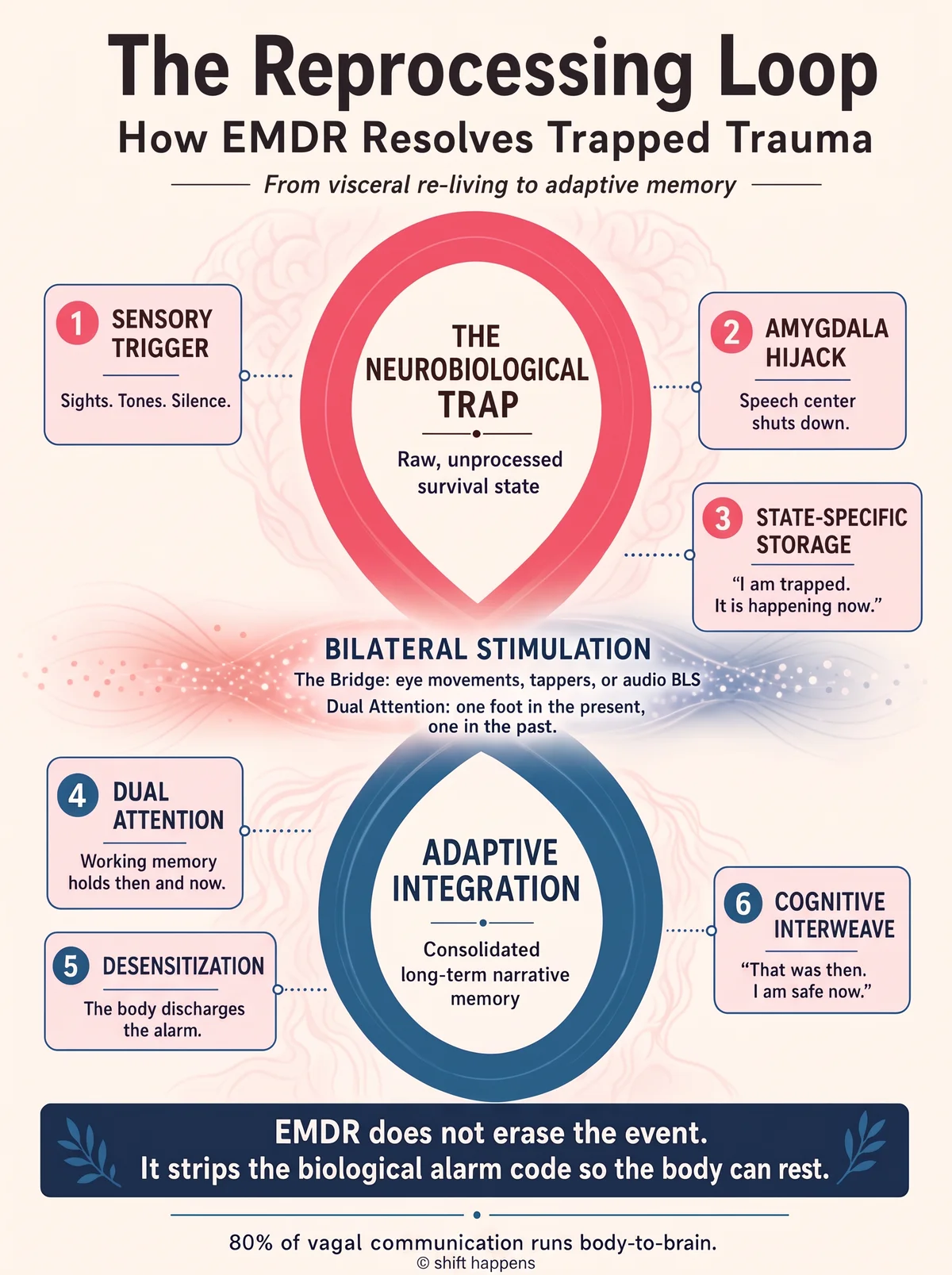 Infographic of the EMDR reprocessing loop, from the neurobiological trap through bilateral stimulation to adaptive integration